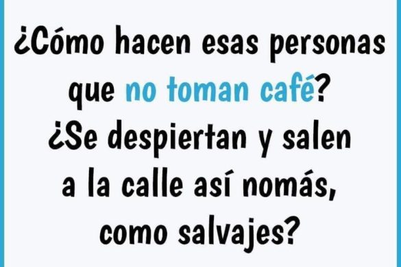 250383986_10159976045914703_6301520367816853279_n