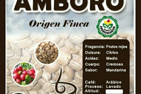 250389020_10159976043599703_769180704581004225_n