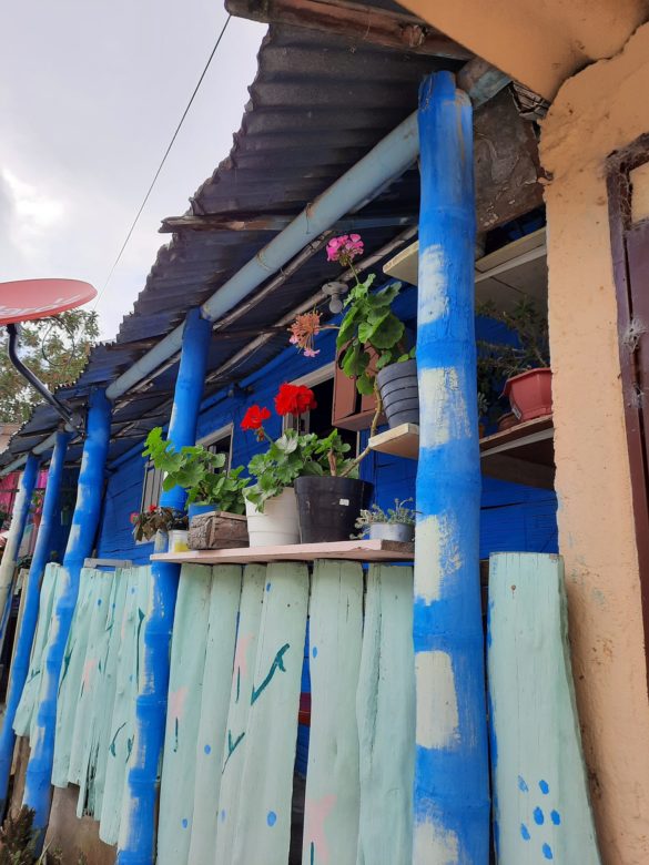 261822801_10160040817789703_4442056614441886892_n