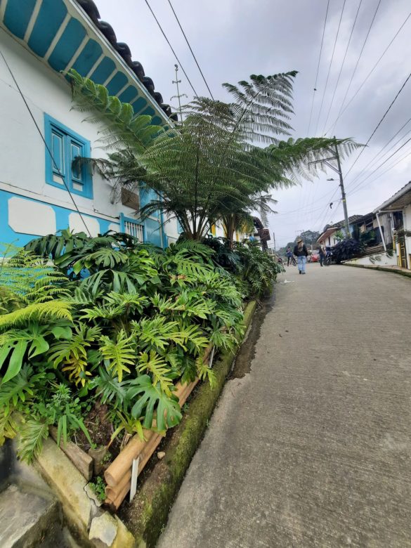 262402858_10160040822789703_4381108220989133820_n